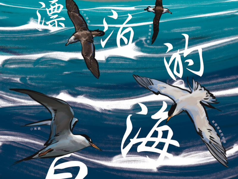 【2025南方鳥類論壇 】： 漂泊的海鳥~8/16(六)登場囉！